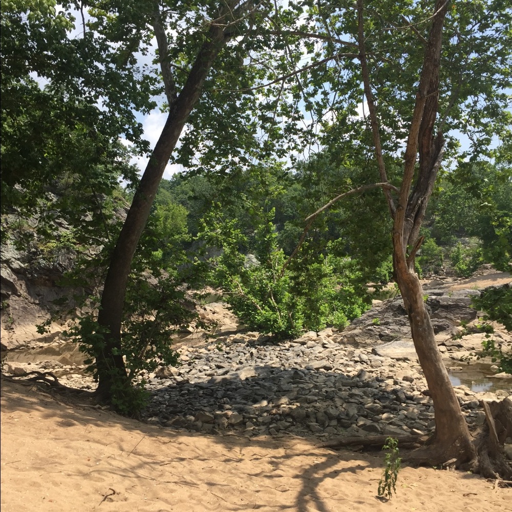 Meet your Posher, Alyx